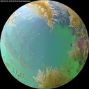 ./images/calvert/underwater/20260901/underwater20260901_165501M.jpg