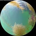 ./images/calvert/underwater/20260901/underwater20260901_170002M.jpg