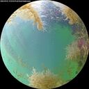 ./images/calvert/underwater/20260901/underwater20260901_172501M.jpg