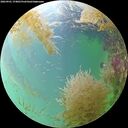./images/calvert/underwater/20260901/underwater20260901_174001M.jpg