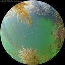 ./images/calvert/underwater/20260901/underwater20260901_175501M.jpg