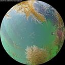 ./images/calvert/underwater/20260901/underwater20260901_180002M.jpg