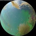 ./images/calvert/underwater/20260901/underwater20260901_181502M.jpg