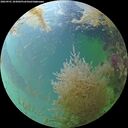 ./images/calvert/underwater/20260901/underwater20260901_183001M.jpg