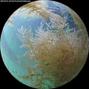 ./images/calvert/underwater/20260901/underwater20260901_183501M.jpg