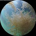 ./images/calvert/underwater/20260901/underwater20260901_184001M.jpg