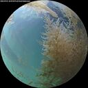 ./images/calvert/underwater/20260901/underwater20260901_184502M.jpg