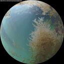 ./images/calvert/underwater/20260901/underwater20260901_185501M.jpg