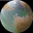 ./images/calvert/underwater/20260901/underwater20260901_190001M.jpg