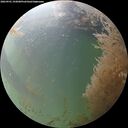 ./images/calvert/underwater/20260901/underwater20260901_192001M.jpg