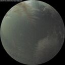 ./images/calvert/underwater/20260901/underwater20260901_202501M.jpg