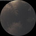 ./images/calvert/underwater/20260902/underwater20260902_064501M.jpg