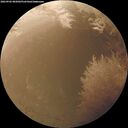 ./images/calvert/underwater/20260902/underwater20260902_085002M.jpg