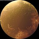./images/calvert/underwater/20260902/underwater20260902_113501M.jpg