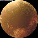 ./images/calvert/underwater/20260902/underwater20260902_114001M.jpg