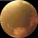 ./images/calvert/underwater/20260902/underwater20260902_114501M.jpg