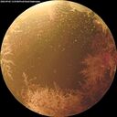 ./images/calvert/underwater/20260902/underwater20260902_115501M.jpg