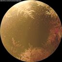 ./images/calvert/underwater/20260902/underwater20260902_133501M.jpg