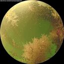 ./images/calvert/underwater/20260902/underwater20260902_142501M.jpg