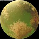 ./images/calvert/underwater/20260902/underwater20260902_143001M.jpg