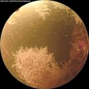 ./images/calvert/underwater/20260902/underwater20260902_152001M.jpg