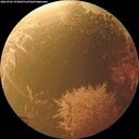 ./images/calvert/underwater/20260902/underwater20260902_153002M.jpg
