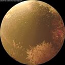 ./images/calvert/underwater/20260902/underwater20260902_153501M.jpg