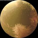 ./images/calvert/underwater/20260902/underwater20260902_154001M.jpg