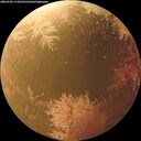 ./images/calvert/underwater/20260902/underwater20260902_154501M.jpg