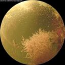 ./images/calvert/underwater/20260902/underwater20260902_164001M.jpg