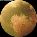 ./images/calvert/underwater/20260902/underwater20260902_164502M.jpg