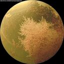 ./images/calvert/underwater/20260902/underwater20260902_165001M.jpg