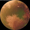 ./images/calvert/underwater/20260902/underwater20260902_170002M.jpg