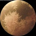 ./images/calvert/underwater/20260902/underwater20260902_173501M.jpg