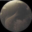 ./images/calvert/underwater/20260903/underwater20260903_065001M.jpg