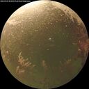 ./images/calvert/underwater/20260903/underwater20260903_081001M.jpg