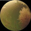 ./images/calvert/underwater/20260903/underwater20260903_083502M.jpg