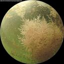 ./images/calvert/underwater/20260903/underwater20260903_084501M.jpg