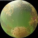 ./images/calvert/underwater/20260903/underwater20260903_093501M.jpg