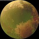 ./images/calvert/underwater/20260903/underwater20260903_094501M.jpg