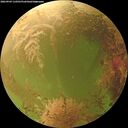 ./images/calvert/underwater/20260903/underwater20260903_110501M.jpg