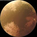 ./images/calvert/underwater/20260903/underwater20260903_121501M.jpg