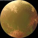 ./images/calvert/underwater/20260903/underwater20260903_131502M.jpg