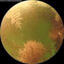 ./images/calvert/underwater/20260903/underwater20260903_132001M.jpg