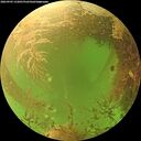 ./images/calvert/underwater/20260903/underwater20260903_133001M.jpg
