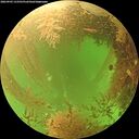 ./images/calvert/underwater/20260903/underwater20260903_133501M.jpg