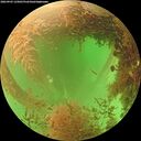 ./images/calvert/underwater/20260903/underwater20260903_135001M.jpg