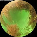 ./images/calvert/underwater/20260903/underwater20260903_135502M.jpg