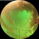 ./images/calvert/underwater/20260903/underwater20260903_140001M.jpg