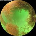 ./images/calvert/underwater/20260903/underwater20260903_140501M.jpg